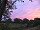 smallsunset4.jpg (1315 bytes)